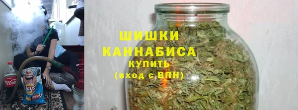 ГАЛЛЮЦИНОГЕННЫЕ ГРИБЫ Куйбышев