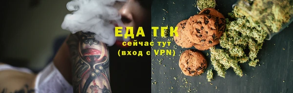 индика Кулебаки