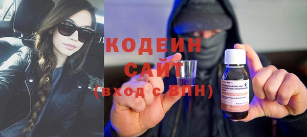индика Кулебаки