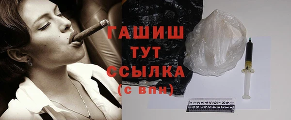 индика Кулебаки