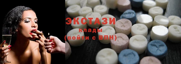 индика Кулебаки