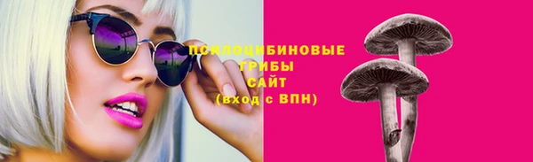 ГАЛЛЮЦИНОГЕННЫЕ ГРИБЫ Куйбышев