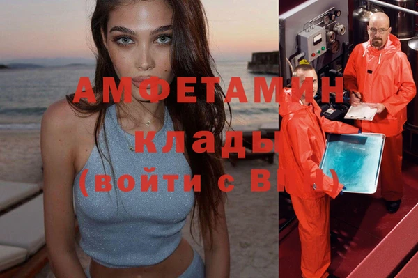 индика Кулебаки