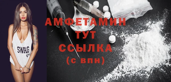 индика Кулебаки