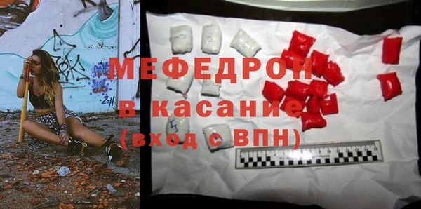 индика Кулебаки
