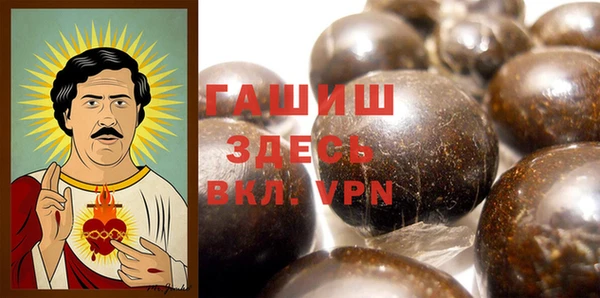 индика Кулебаки
