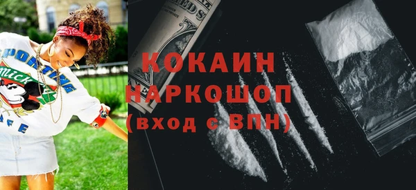 индика Кулебаки
