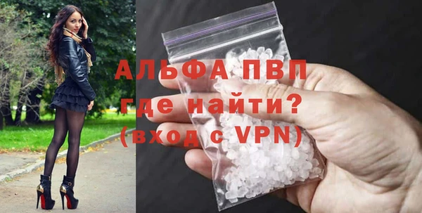 индика Кулебаки