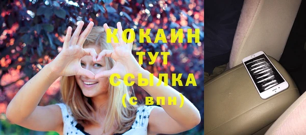 индика Кулебаки