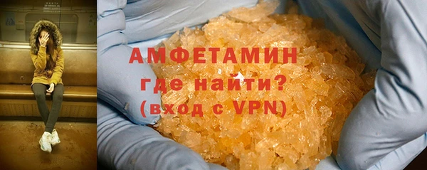 индика Кулебаки