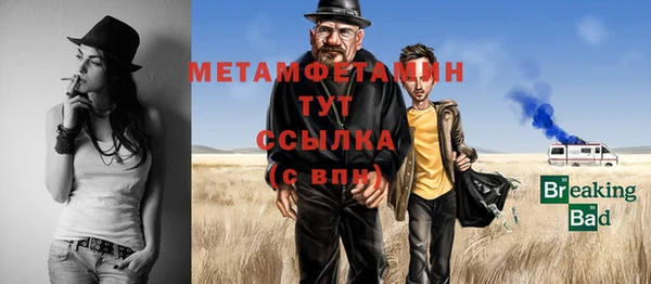 индика Кулебаки