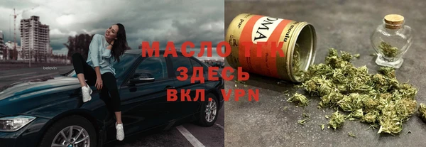 индика Кулебаки