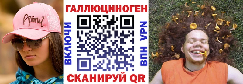 закладка Южно-Сухокумск Псилоцибиновые грибы прущие грибы